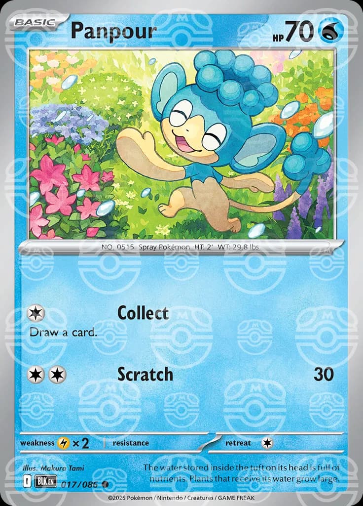 Panpour (Master Ball Pattern)  - Black-Bolt